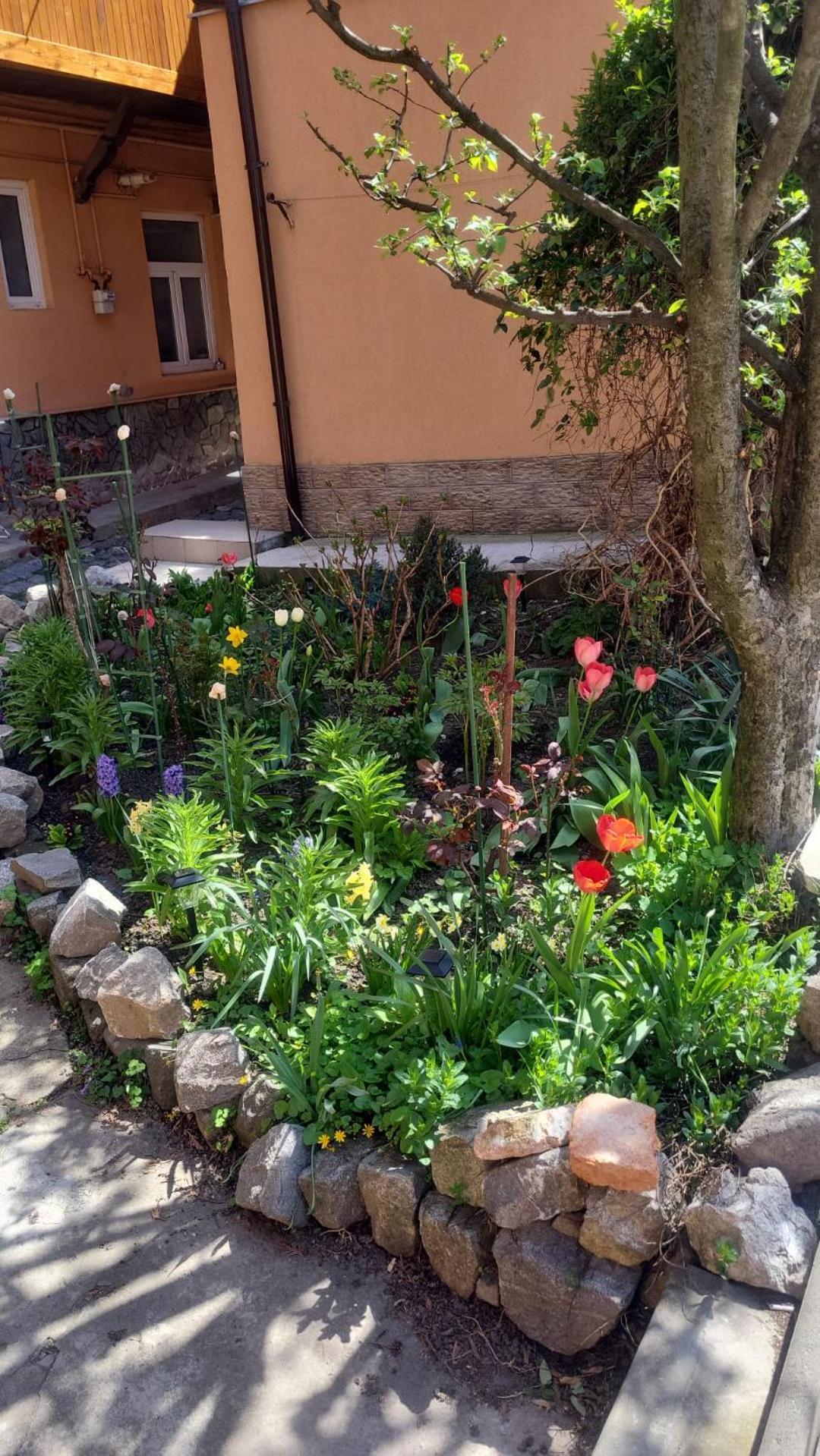 John Residence Apartment Brasov With Parking Option מראה חיצוני תמונה